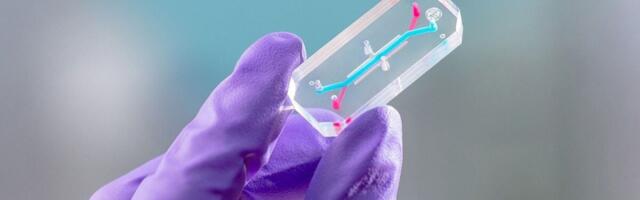 These avatars will fly around the moon with NASAs Artemis 2 astronauts