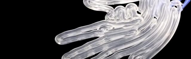 New Technique for 3D Printing Artificial Muscle Paves the Way for More Freaky Robots