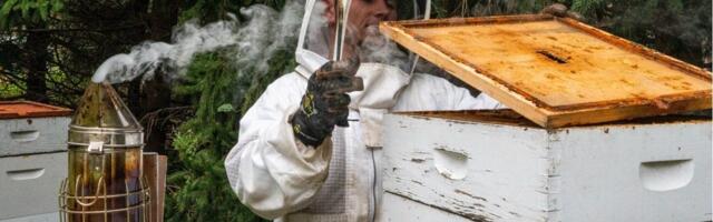 A college student is funding his tuition by raising bees and selling honey: 'This is the ultimate side business'
