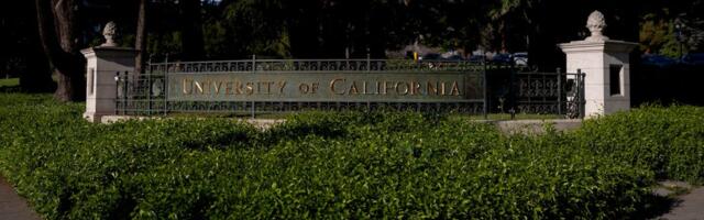 A professor who helped write UC Berkeley's strict new AI policy says it's about preserving 'the value add of a lawyer'