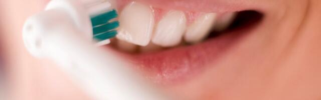 14 of the Best Electric Toothbrushes to Keep Your Teeth Healthy and Sparkling
