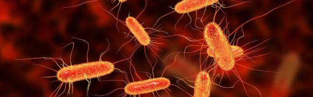 Scientists May Have Figured Out Why Young People Are Getting Colorectal Cancer More Often