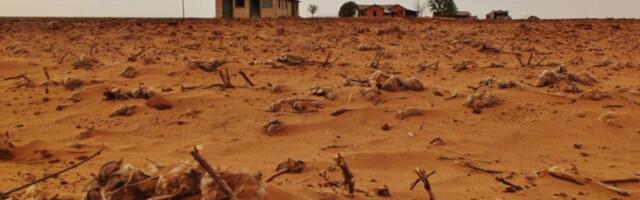 Scientists Predict Extreme Global Water Shortages by 2100