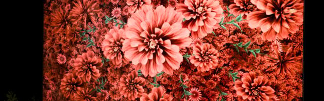 Samsung’s Micro RGB TVs Provide So Much Color It May Be Too Much