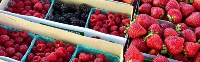 Trump tariffs hike prices at downtown San Jose farmers market