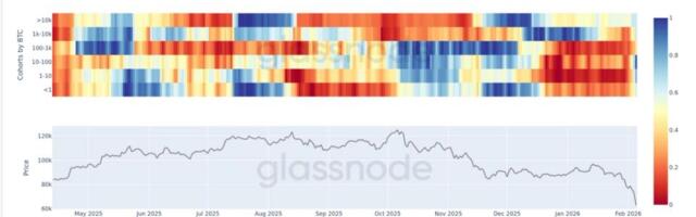 Broad-based bitcoin accumulation emerges after sharp capitulation