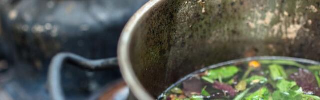 Could DMT Be a New Treatment for Depression? A Small Study Says Yes