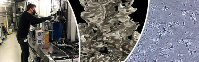 The secret real-time life of lithium metal cell