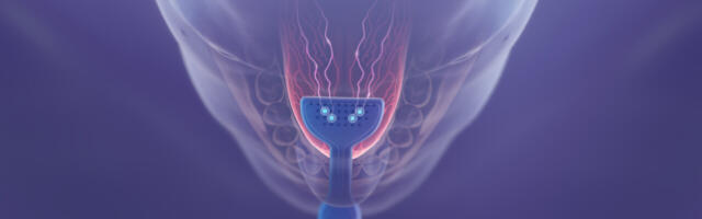 Ireland’s Neuromod gets €30M to increase reach of tinnitus treatment tech