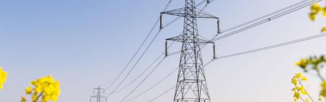 Britain must modernise grids to power sustainable EV future 