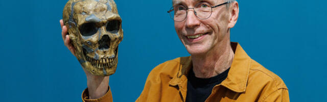 Neanderthals seemed to have a thing for modern human women