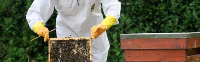 Farming for Nature Festival,  Ballykilcavan Farm, June 22-23