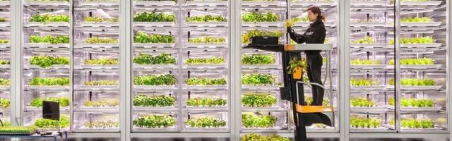 Infarm quits Europe as vertical farming withers on the vine