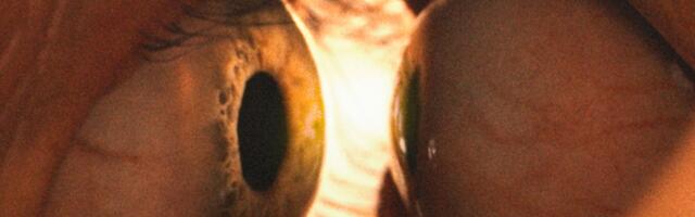 The Together Trailer Looks Terrifying and It’s Not Even Trying