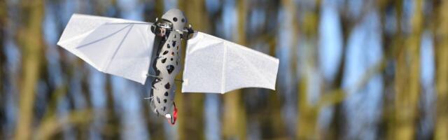 Are bioinspired drones the next big thing in unmanned flight?