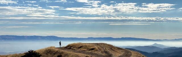 Midpen conducts pile burns to improve Sierra Azul fire resiliency