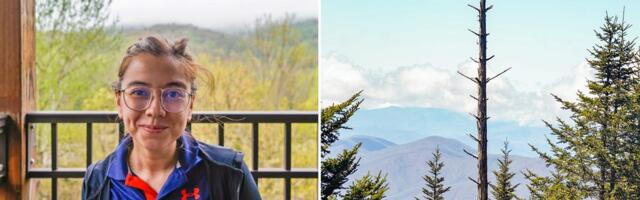 I went to the Great Smoky Mountains for the first time. 8 surprises made my trip harder — and better — than I expected.
