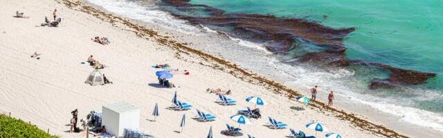 A giant patch of seaweed is growing to record sizes in the Atlantic. Sorry, Florida.