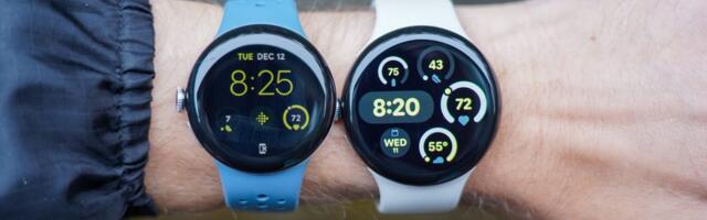 Report: Custom Tensor Chips for Future Pixel Watches