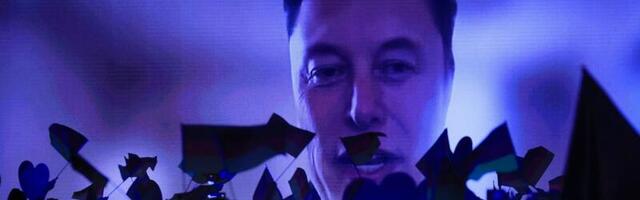 14 Jewish Groups Leave X as Elon Musk Doubles Down on Nazi Rhetoric