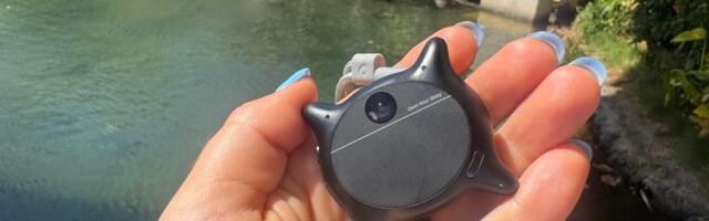 Cutest AI Ever? This Wearable Kitten-Shaped Camera Won Me Over