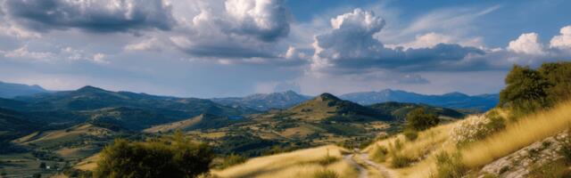 New Guide: The Identity Gap Holding Back Travel Marketing Performance