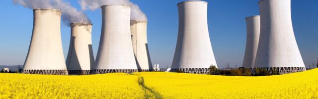 Could renewable nuclear power become a reality in the next decade?