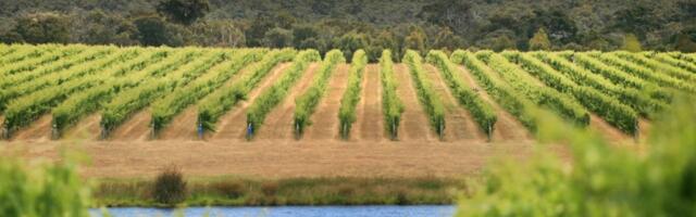 Move over California and France. This country has the best wines in the world for 2023