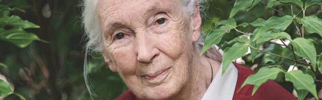 Jane Goodall Thinks It’s Not Too Late to Save the World