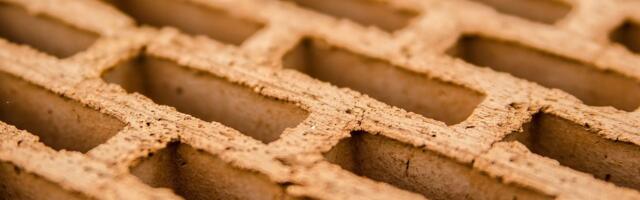 Bitcoin Put Option Trade With $1M Premium Highlights Concern Over Declining BTC Price