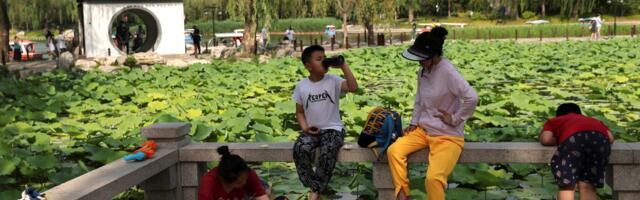 China’s Billion-Dollar Dragon Boat Festival Shows Faltered Recovery