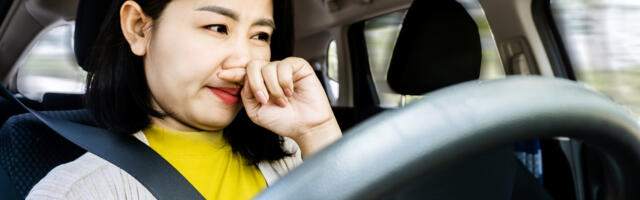 If Your Car's Air Freshener Gives You A Headache, This Is A Great Alternative