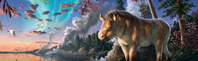 Meet the Weirdly Wonderful ‘Frosty’ Rhino That Once Roamed the Canadian Arctic Meet the Weirdly Wonderful ‘Frosty’ Rhino That Once Roamed the Canadian Arctic