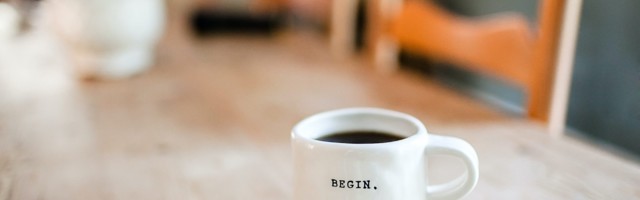 Dispatches from a new VC: cruelty-free kombucha and board meetings