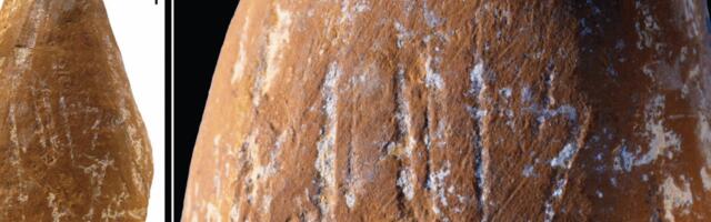 Wear marks suggest Neanderthals made ocher crayons Wear marks suggest Neanderthals made ocher crayons