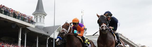 At the Kentucky Derby, horses are worked to death for human vanity