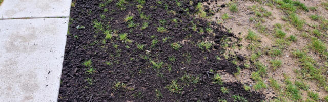 This Simple Tool Can Keep Your Lawn Level Without Breaking The Bank