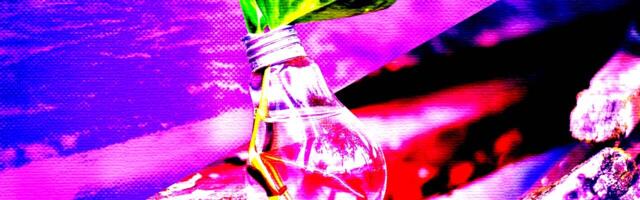 How to achieve sustainable hyper growth: Learn, unlearn, and re-learn