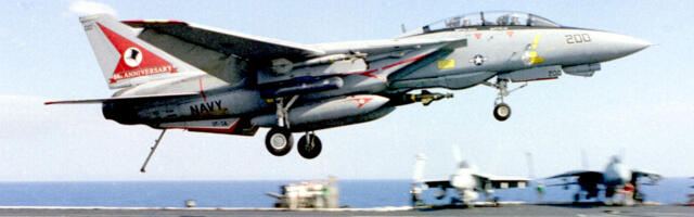 Is The Grumman F-14 Tomcat Fighter Jet Still Flying Anywhere?