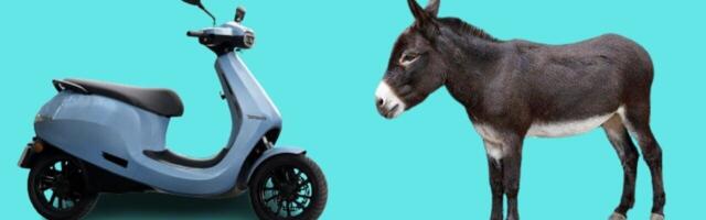 Pray for the man who paraded an Ola scooter through town with a donkey