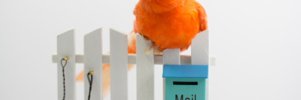 Courier raises $10.1M Series A to help developers integrate multi-channel notifications
