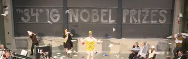 2024 Ig Nobel Prizes for Silly Science Include Pigeons in Missiles, Hair Whorls, and Dead Fish That Swim