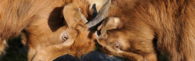 5 Factors Which Define the Scope of Your Competition