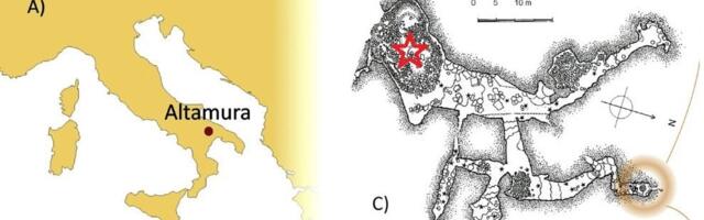 Загадка человека из Альтамуры Загадка человека из Альтамуры