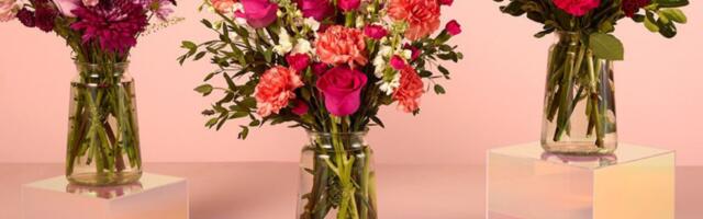 Best last-minute deals on Valentines Day flowers so far — you have way more options than plain roses