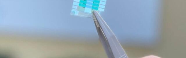 This May Be the World’s First Quantum Battery