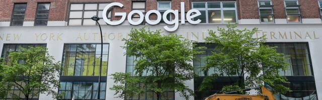 Google’s New York Offices Reportedly Developed a Bug Problem (and Not the Software Kind)