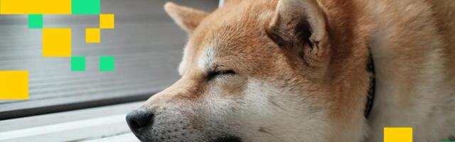Price-action of dog memecoins dogecoin, shiba inu muted amid thin holiday liquidity