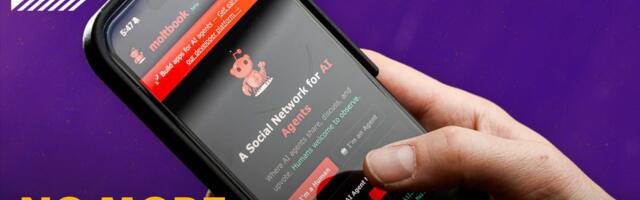 Moltbooks real risk isnt AI. Its your data.