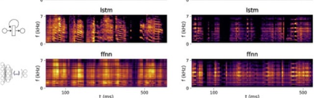 Researchers created a brain interface that can sing what a bird’s thinking